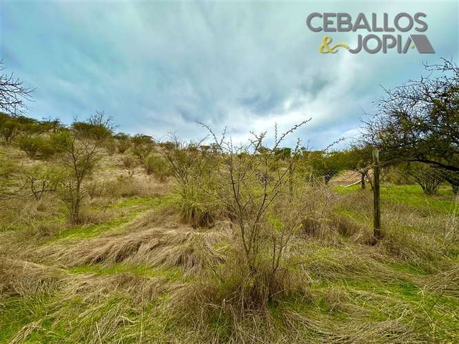 Parcela en venta en Limache