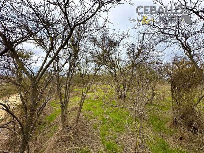 Parcela en venta en Limache