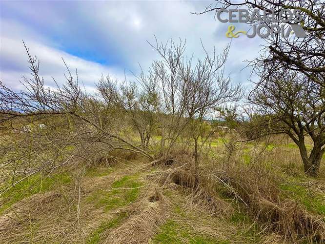 Parcela en venta en Limache