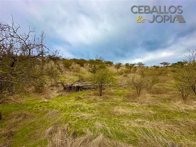 Parcela en venta en Limache