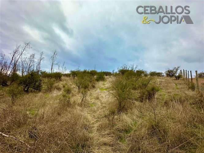 Parcela en venta en Limache