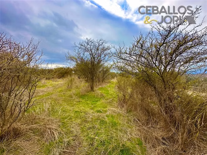 Parcela en venta en Limache