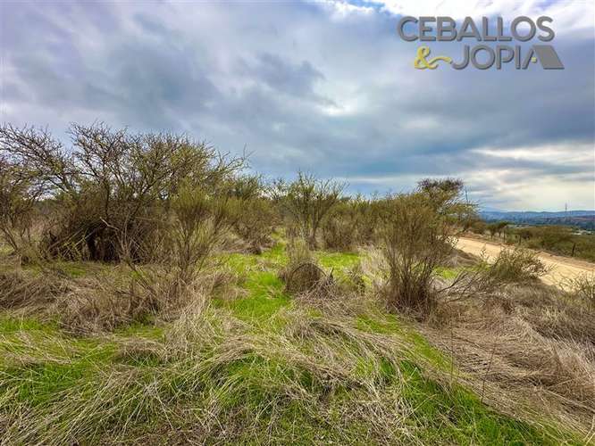 Parcela en venta en Limache