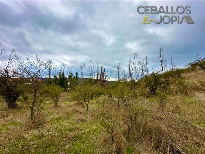 Parcela en venta en Limache
