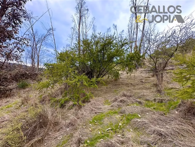 Parcela en venta en Limache