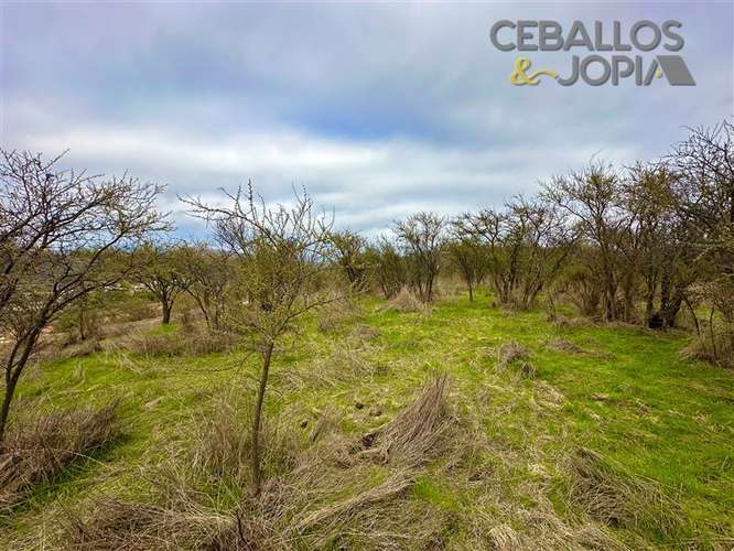 Parcela en venta en Limache