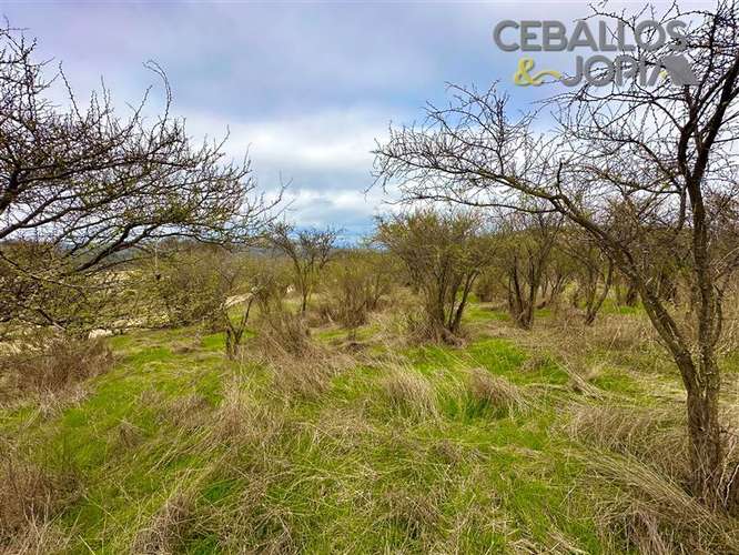 Parcela en venta en Limache
