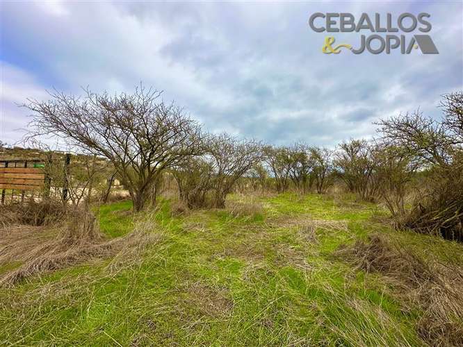 Parcela en venta en Limache