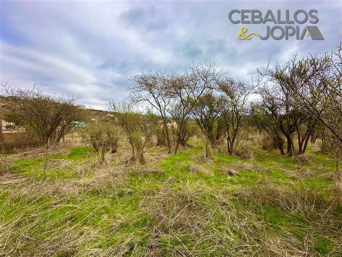 Parcela en venta en Limache