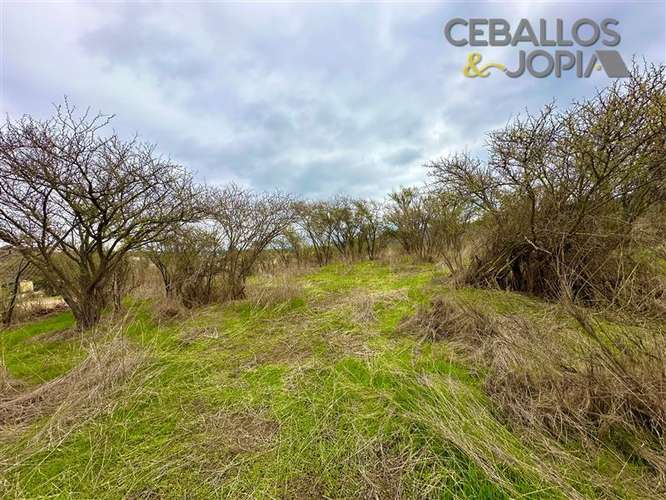 Parcela en venta en Limache