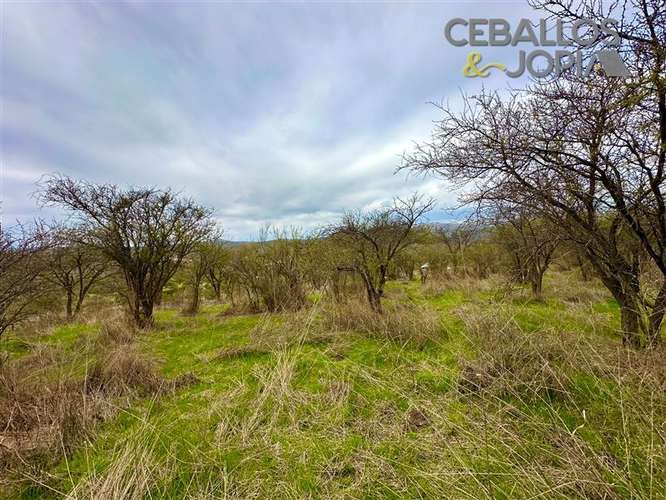 Parcela en venta en Limache