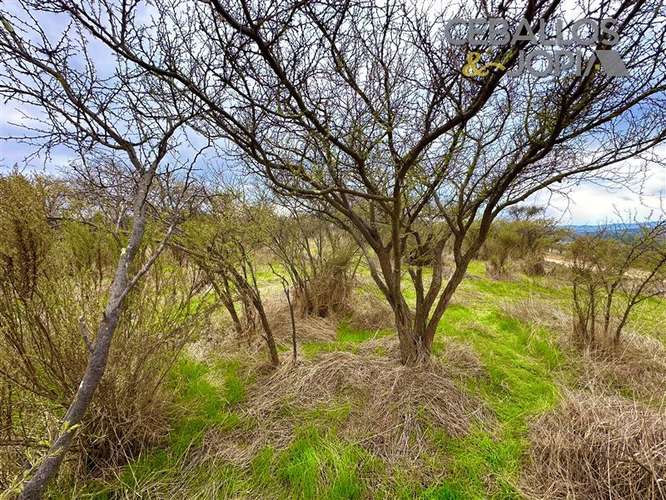 Parcela en venta en Limache