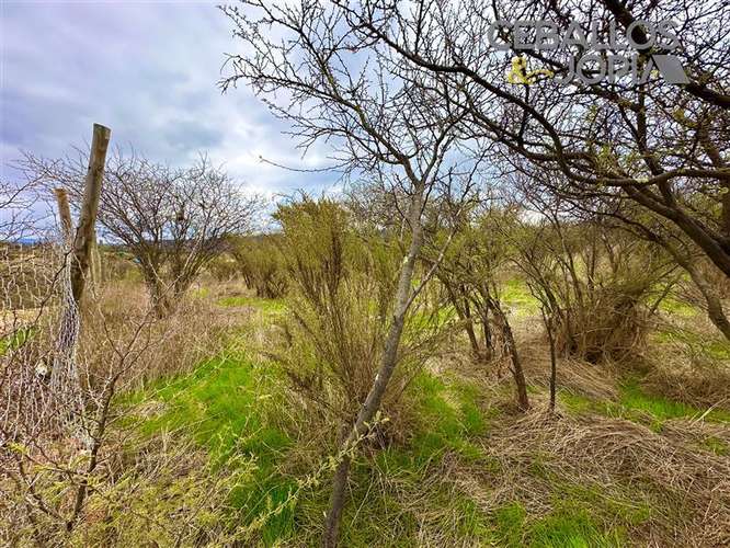 Parcela en venta en Limache