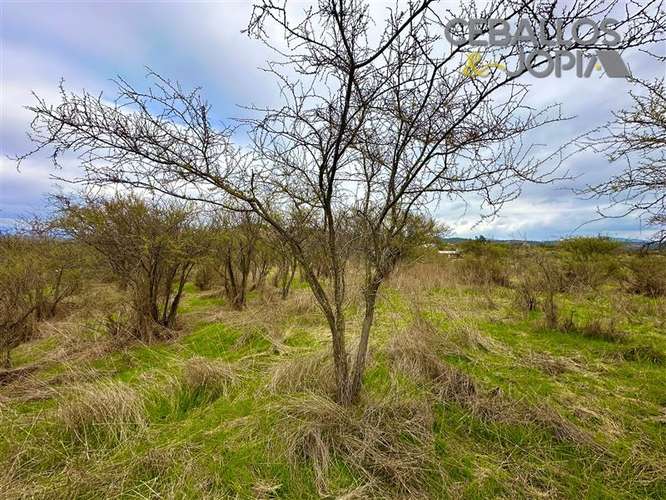 Parcela en venta en Limache