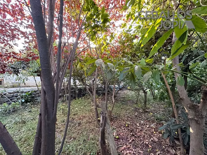 Casa en venta de 4 dorm. en Olmué
