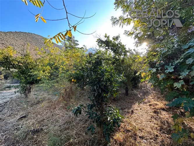 Casa en venta de 4 dorm. en Olmué