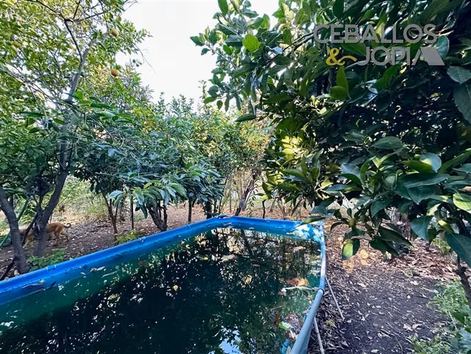 Casa en venta de 4 dorm. en Olmué