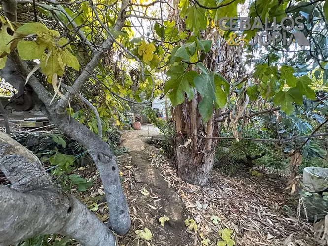 Casa en venta de 4 dorm. en Olmué