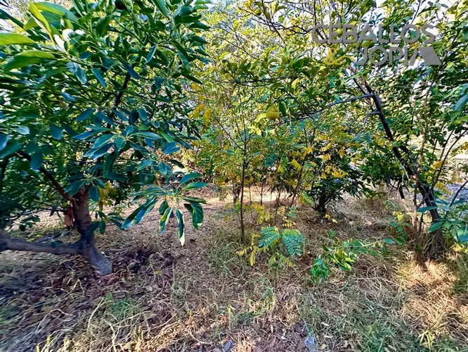 Casa en venta de 4 dorm. en Olmué