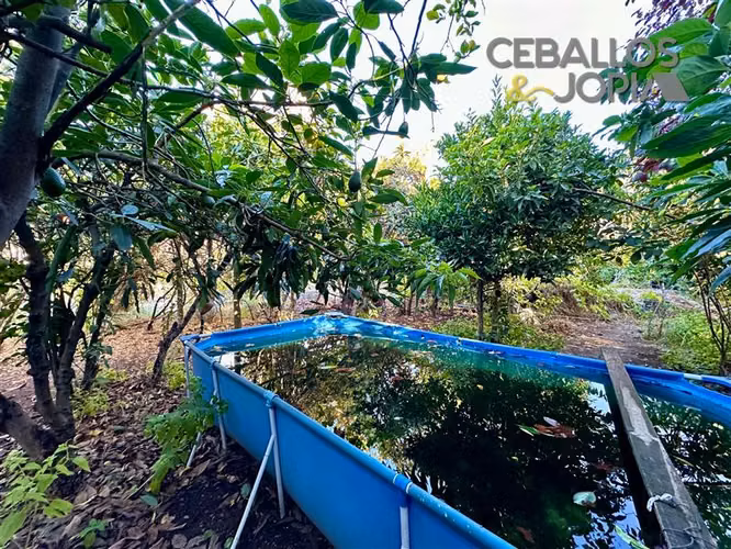 Casa en venta de 4 dorm. en Olmué