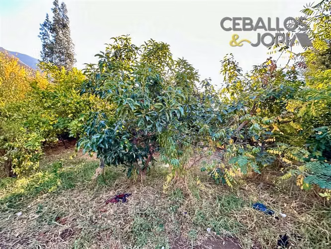 Casa en venta de 4 dorm. en Olmué