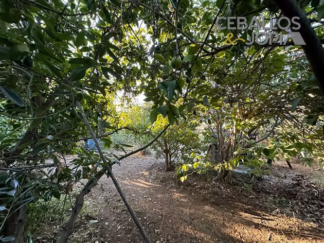 Casa en venta de 4 dorm. en Olmué