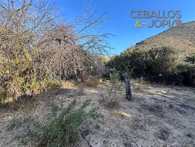 Casa en venta de 4 dorm. en Olmué