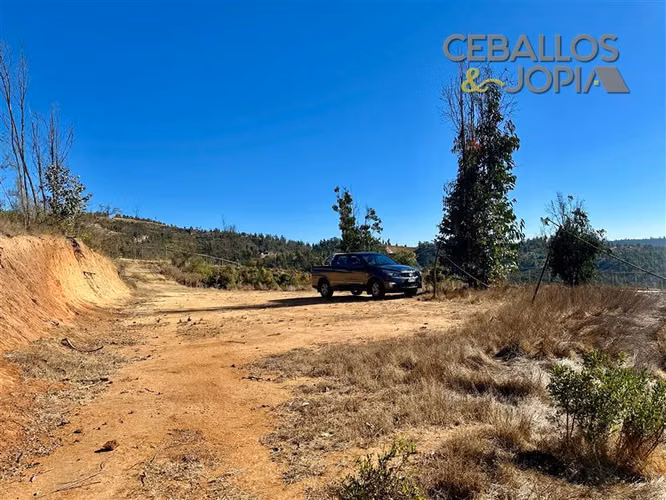 Parcela en venta en Limache