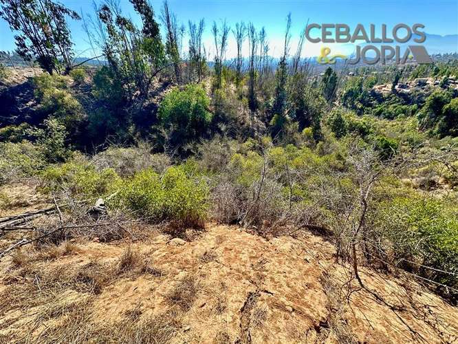Parcela en venta en Limache