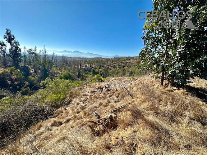 Parcela en venta en Limache