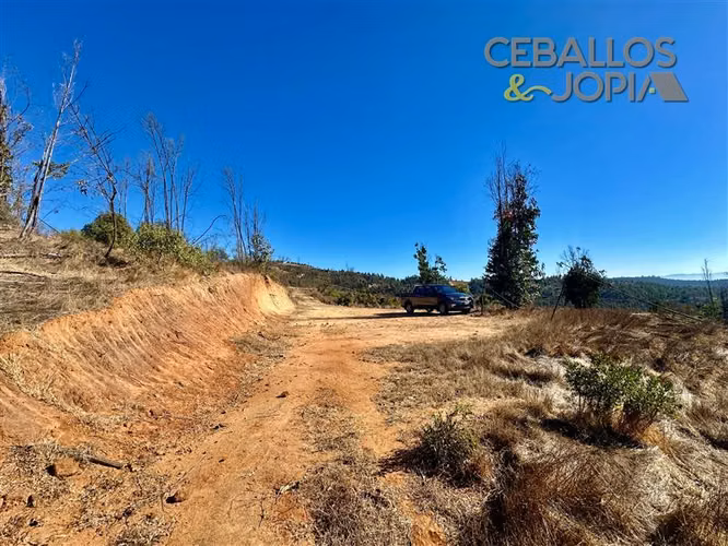 Parcela en venta en Limache