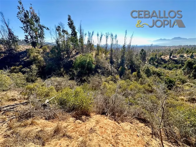 Parcela en venta en Limache