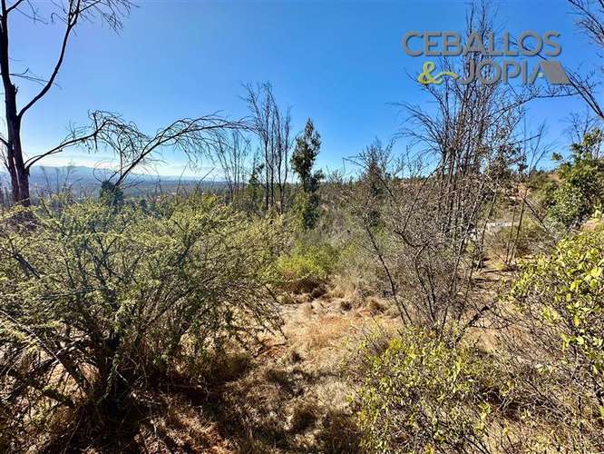 Parcela en venta en Limache