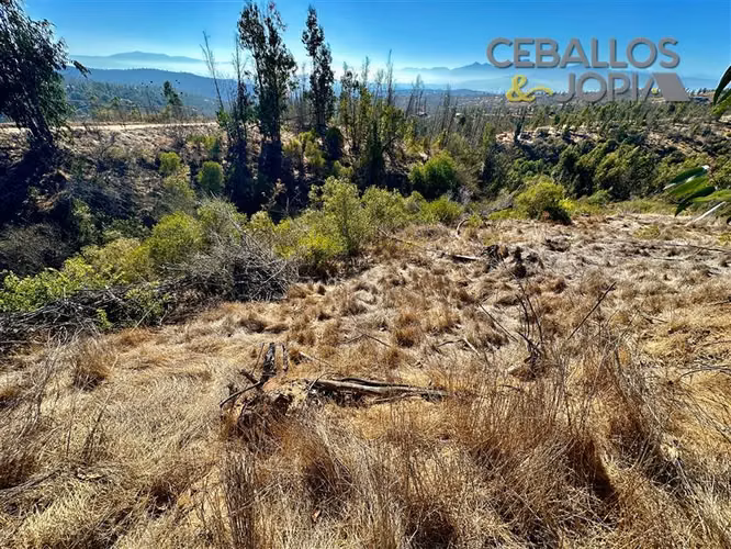 Parcela en venta en Limache