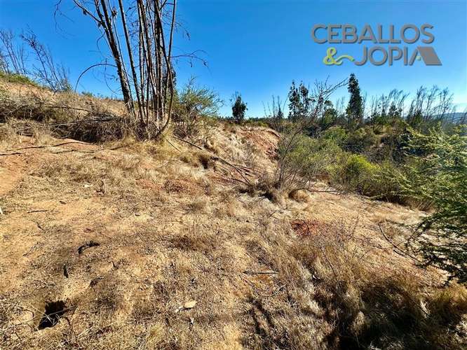 Parcela en venta en Limache