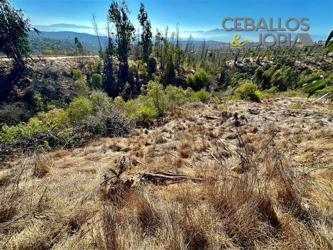 Parcela en venta en Limache