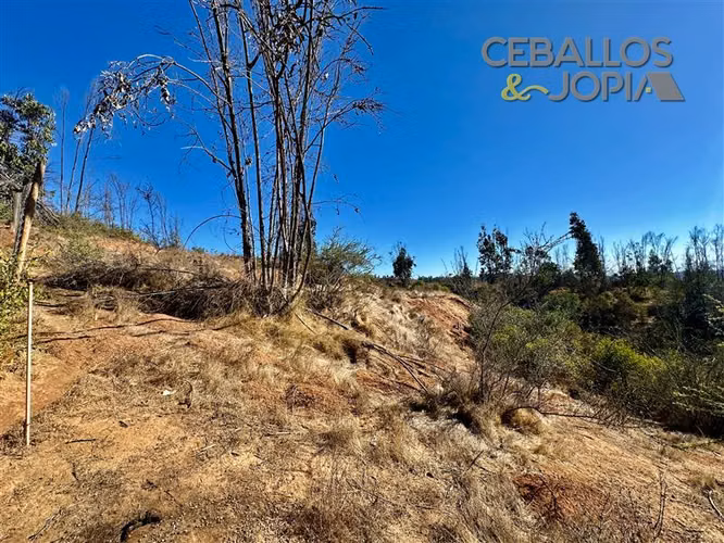 Parcela en venta en Limache
