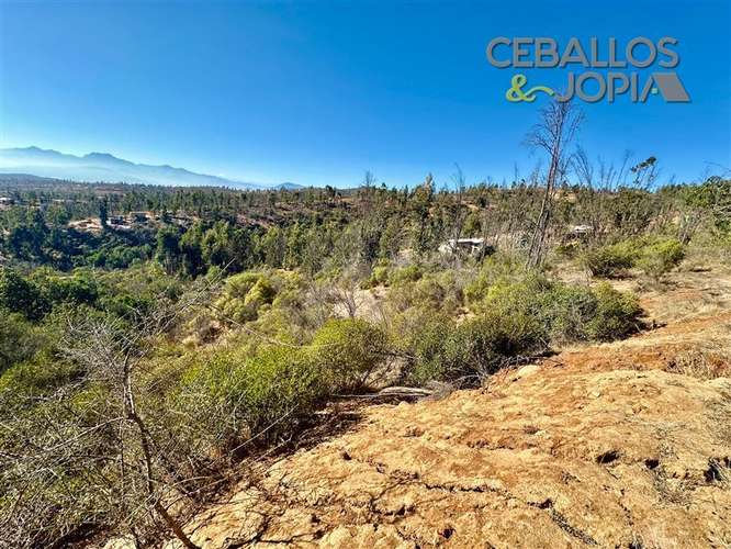 Parcela en venta en Limache