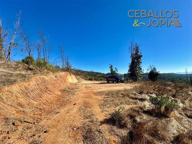 Parcela en venta en Limache