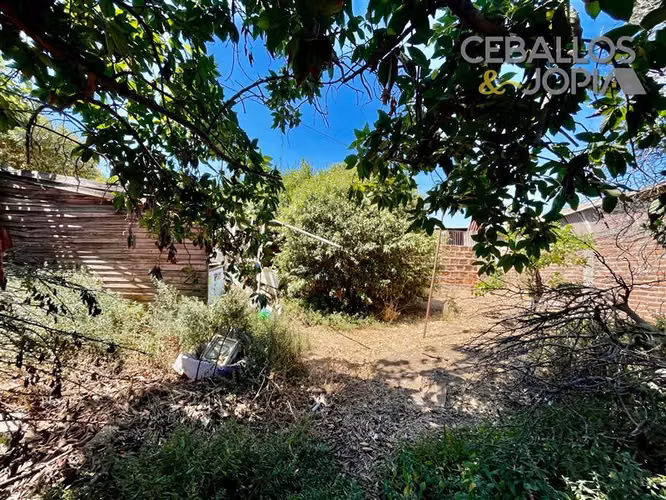 Local Comercial en venta en Limache
