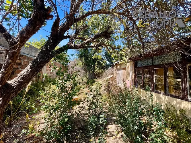 Local Comercial en venta en Limache