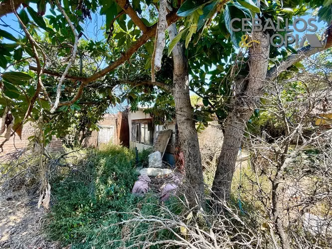 Local Comercial en venta en Limache
