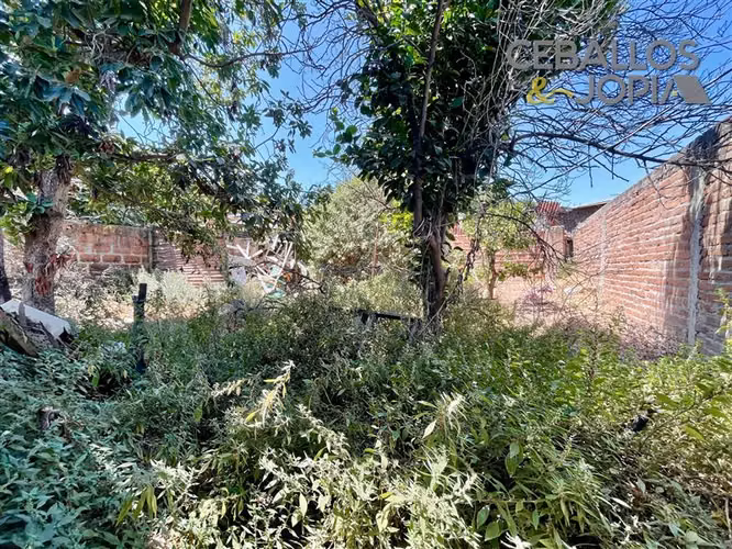 Local Comercial en venta en Limache