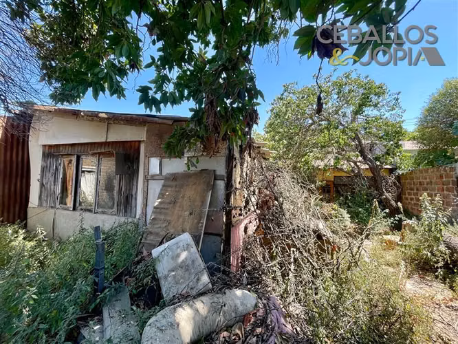 Local Comercial en venta en Limache