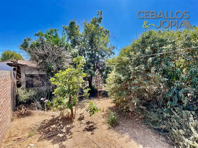 Local Comercial en venta en Limache