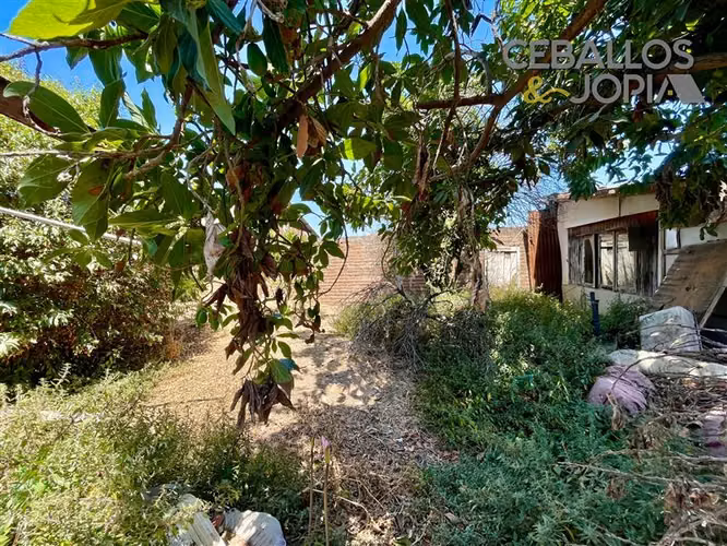 Local Comercial en venta en Limache