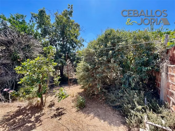 Local Comercial en venta en Limache