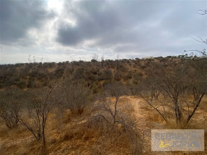 Parcela en venta en Limache