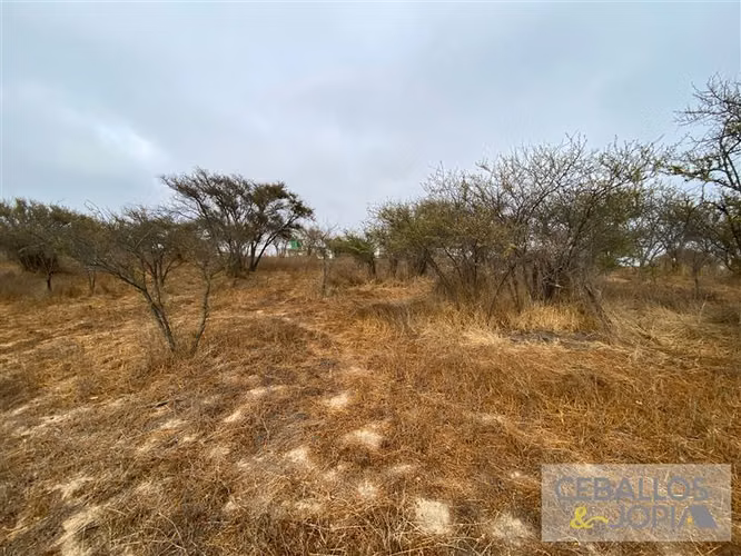 Parcela en venta en Limache