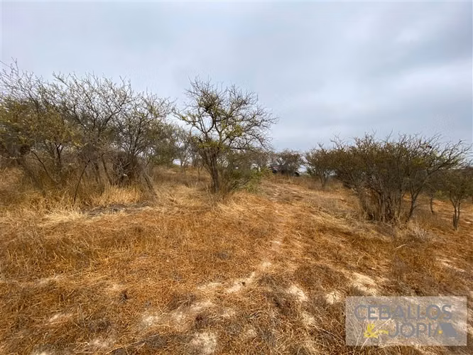 Parcela en venta en Limache